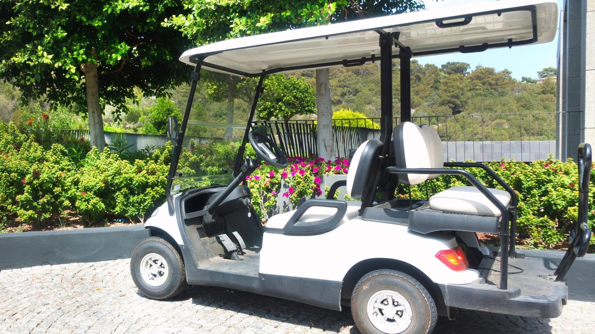 Large Golf Carts for Rent on OKI