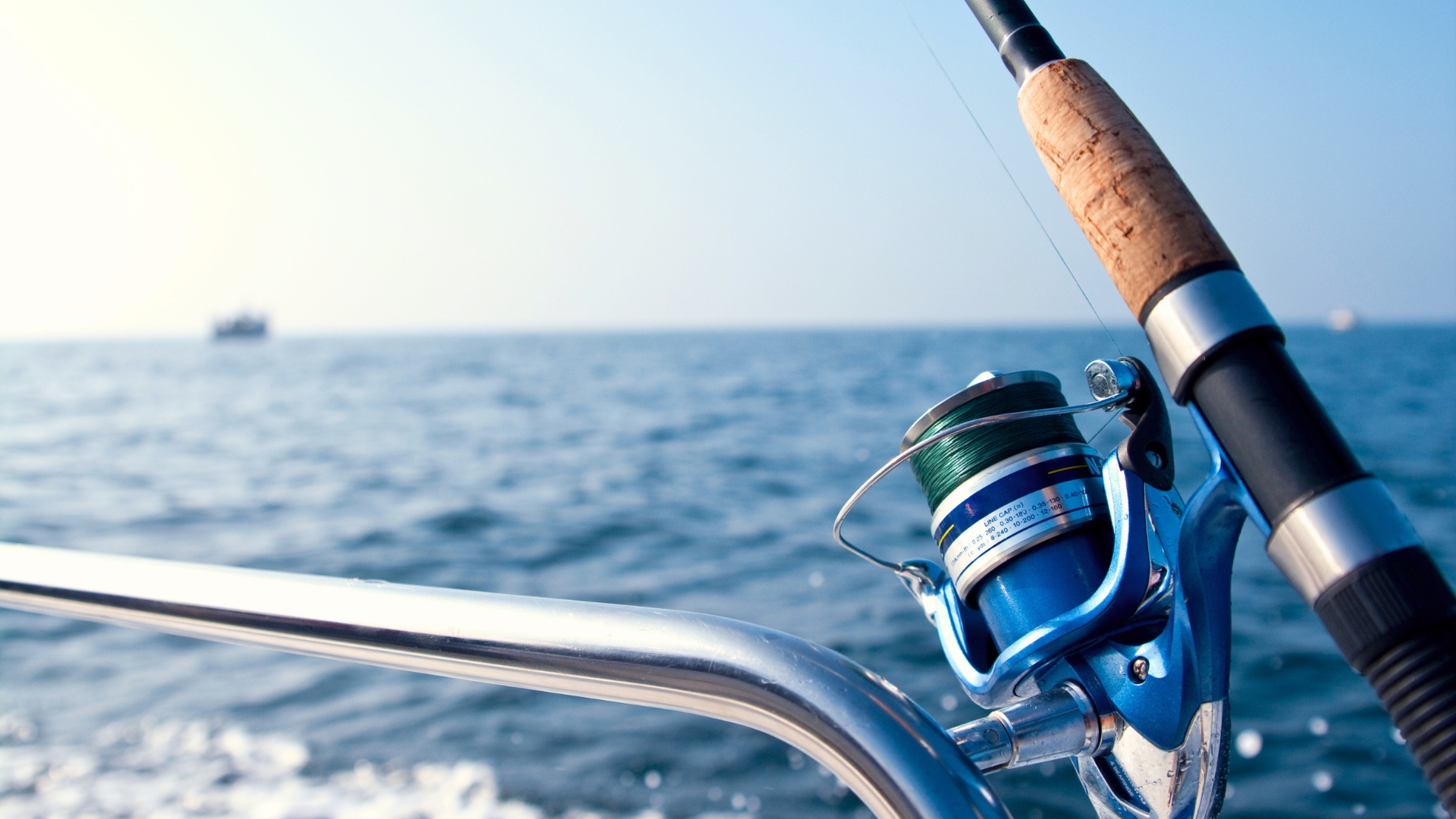 King Mackerel Offshore Fishing